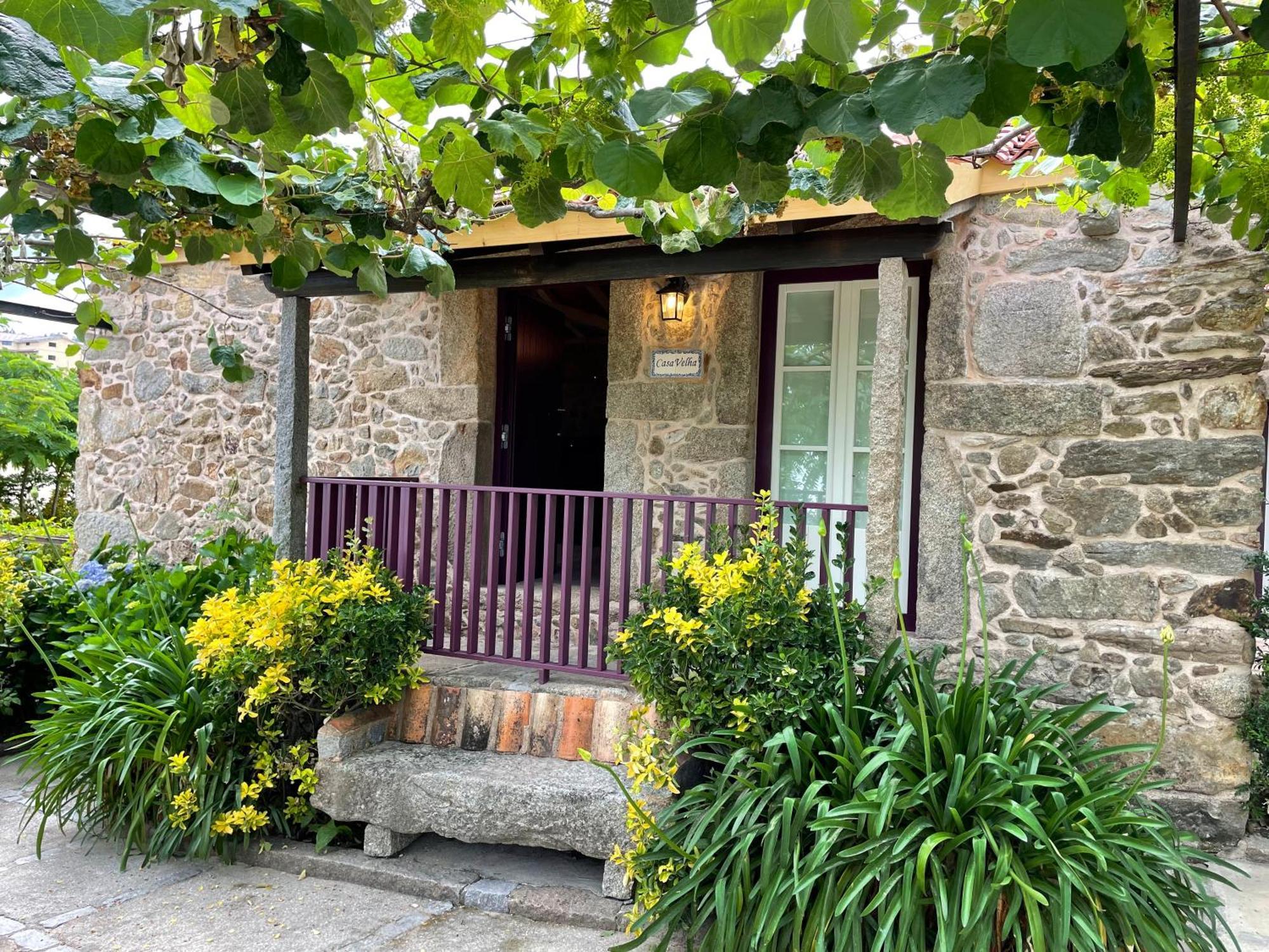 Casa Velha-Santiagofamilyhouse Villa Sever do Vouga Ngoại thất bức ảnh